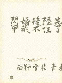 闪婚后陆先生马甲藏不住了短剧