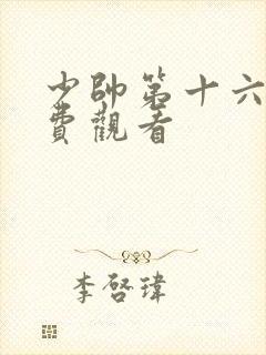 少帅第十六集免费观看封面