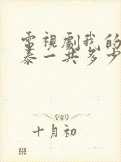 电视剧我的阿勒泰一共多少集