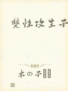 双性攻生子小说