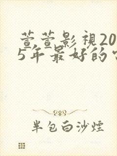 萱萱影视2025年最好的电视剧