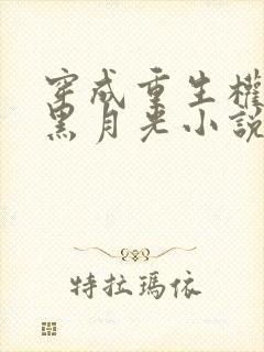 穿成重生权臣的黑月光小说在线阅读