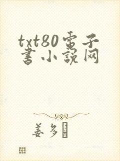 txt80电子书小说网