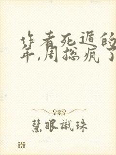 作者死遁的第二年,周总疯了小说