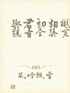 与君初相识免费观看全集完整版封面