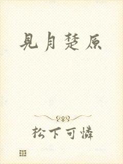 见月楚原