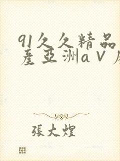 91久久精品国产亚洲a∨麻豆