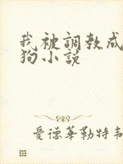 我被调教成小母狗小说