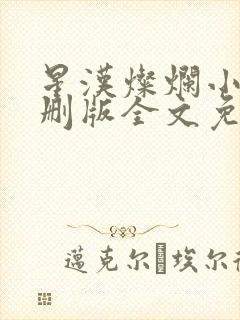 星汉灿烂小说未删版全文免费阅读