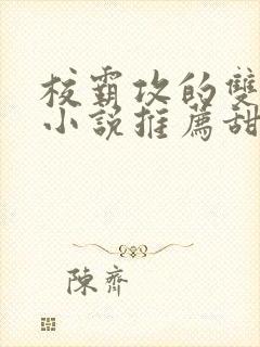 校霸攻的双男主小说推荐甜文