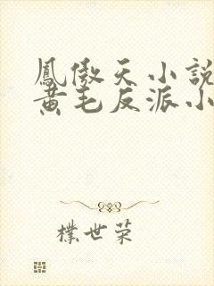 凤傲天小说里的黄毛反派小说