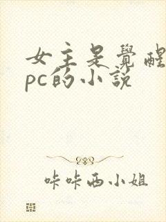 女主是觉醒的npc的小说封面