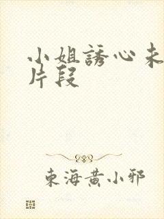 小姐诱心未删减片段