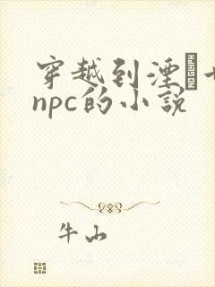 穿越到湮婸世界npc的小说