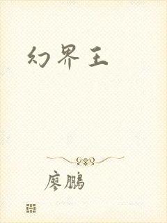 幻界王封面