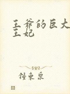 王爷的巨大进入王妃封面
