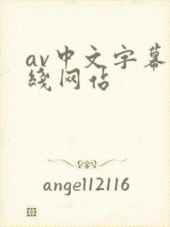 av中文字幕在线网站