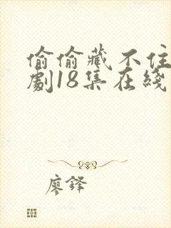 偷偷藏不住广播剧18集在线收听免费