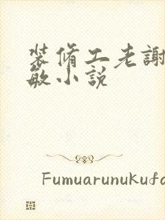 装修工老谢和赵敏小说