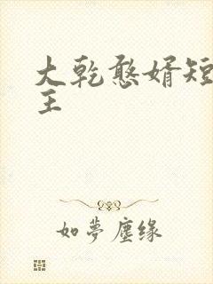 大乾憨婿短剧男主