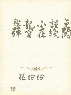 盘龙小说免费无弹窗在线阅读