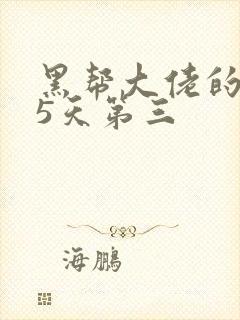 黑帮大佬的365天第三