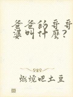 爸爸的哥哥的老婆叫什么?