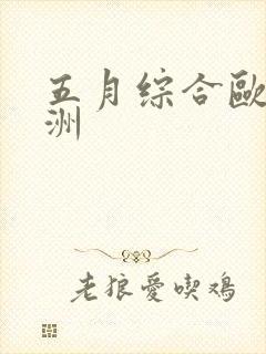五月综合欧美亚洲封面