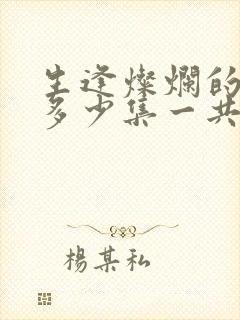 生逢灿烂的日子多少集一共