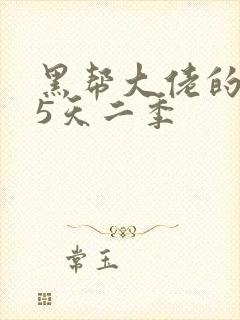 黑帮大佬的365天二季