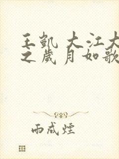 王凯 大江大河之岁月如歌封面