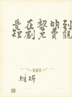 爱在黎明到来前短剧免费观看