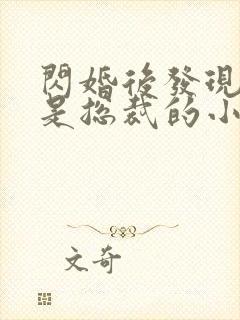 闪婚后发现老公是总裁的小说