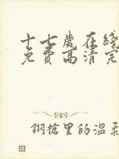 十七岁在线观看免费高清完整版电视剧