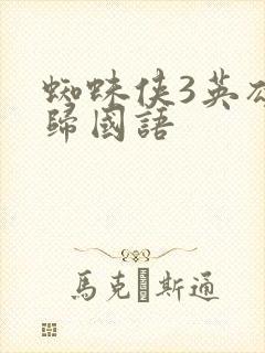 蜘蛛侠3英雄无归国语