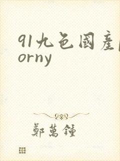 91九色国产porny