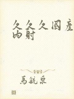 久久久国产三级内射