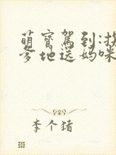 萌宝驾到:拐个爹地送妈咪在线阅读