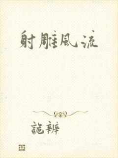 射雕风流
