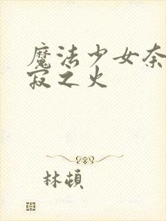 魔法少女奈叶静寂之火