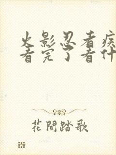 火影忍者疾风传看完了看什么