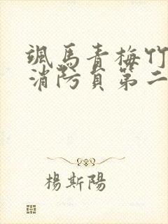 飒马青梅竹马是消防员第二季