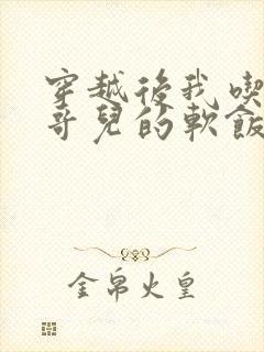 穿越后我吃到了哥儿的软饭炉山灰封面