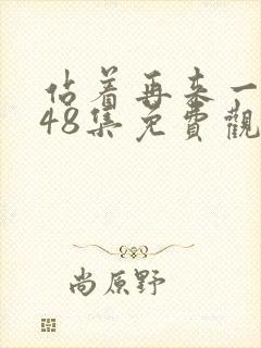 站着再来一次第48集免费观看视频封面