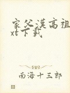 家父汉高祖 txt下载封面