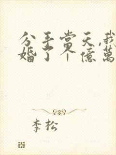 分手当天,我闪婚了个亿万富翁完整版