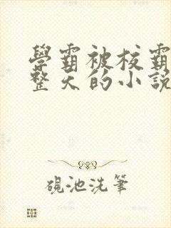 学霸被校霸罚一整天的小说