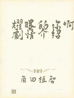 耀眼的你啊分集剧情介绍