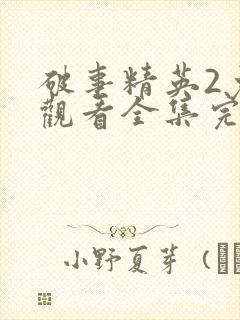 破事精英2免费观看全集完整版封面