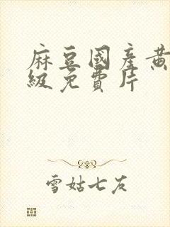 麻豆国产黄色一级免费片